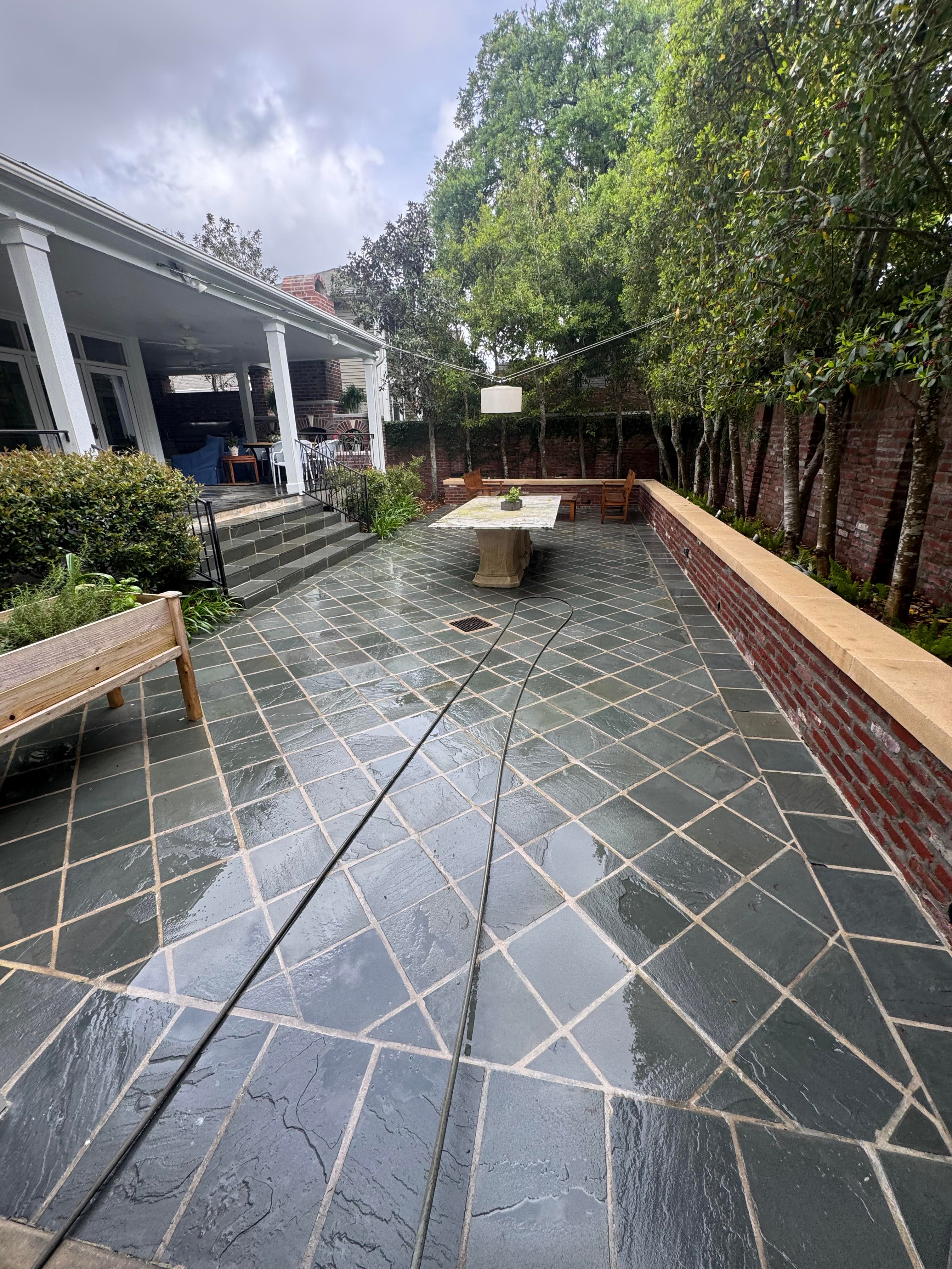 Backyard Restoration after cleaning